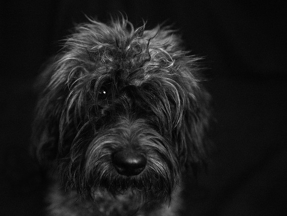 Pinch-2-BW