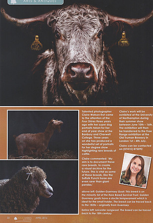 Four Shires Rare Breeds Article page 1